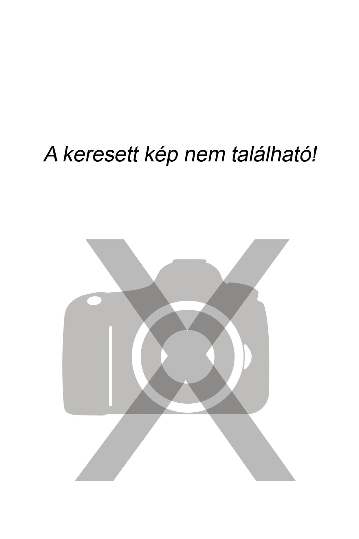 Következő kép. 